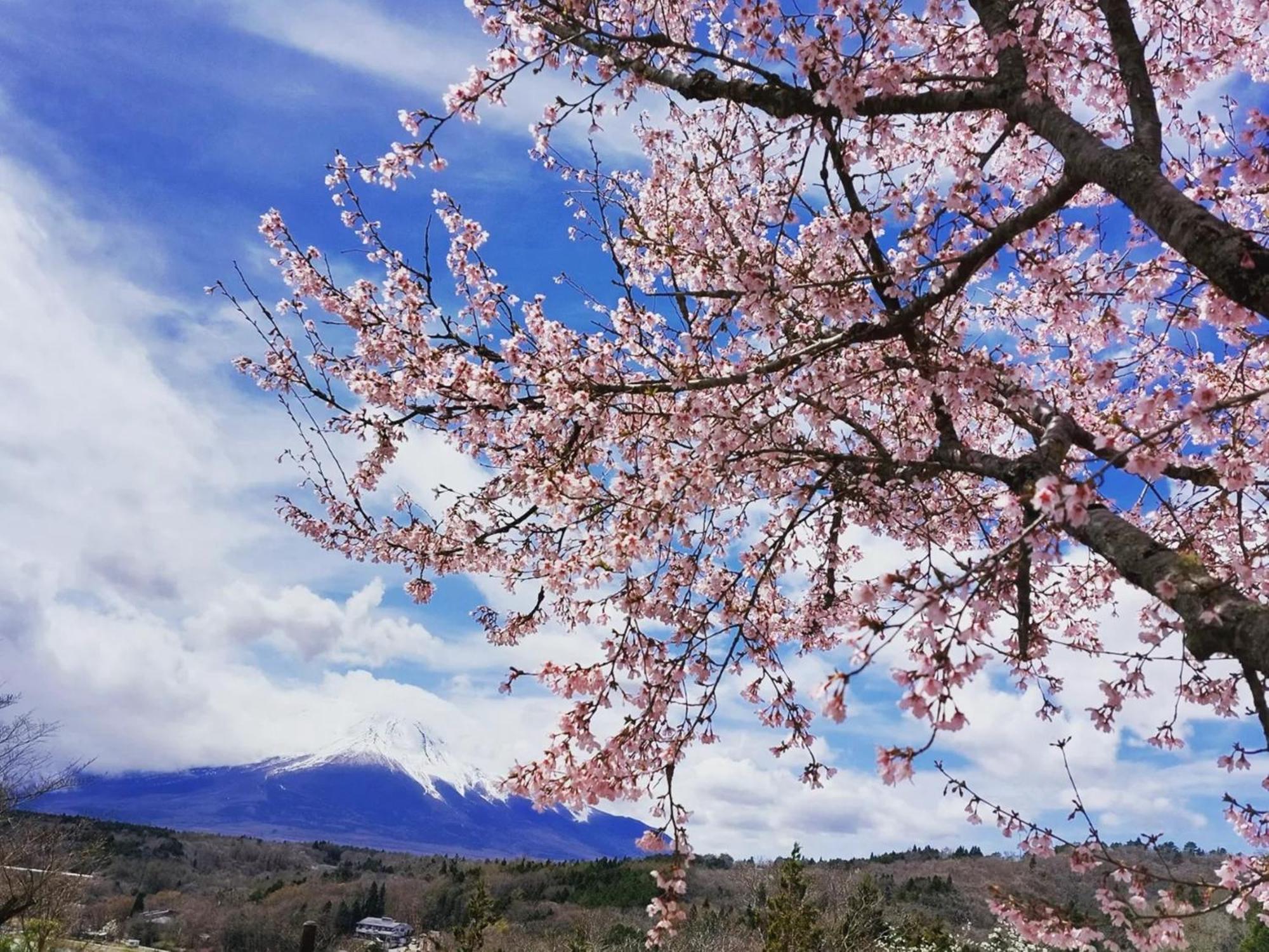 Rokumeikan Hills Yamanakako Bagian luar foto